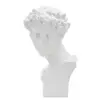 skulptura Muške glave rimska,  20x17.5x30 cm