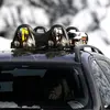 krovni nosač za skije magnetni Himalaya (2 para skija i 2 para štapova)