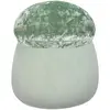 30cm - Ismail - Svijetlo zelena baršunata gljiva sa zelenim trbuščićem