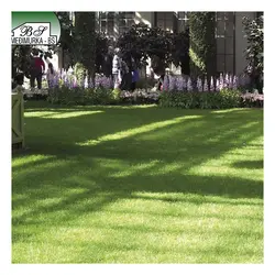  Umjetni travnjak 35 mm 2x20 m 