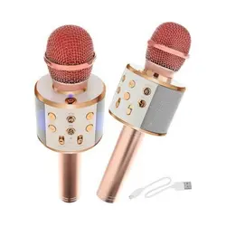 L-Toys Karaoke mikrofon s zvučnikom rozi 