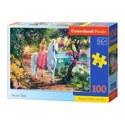 Castorland puzzle 100 komada tajni put 