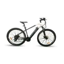 Xplorer E-bike MTB EVEREST 29“ R18“ 