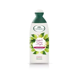 L'Angelica šampon za jačanje kose, 250ml 