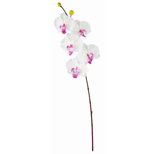 umjetna orhideja, 59 cm - bijela