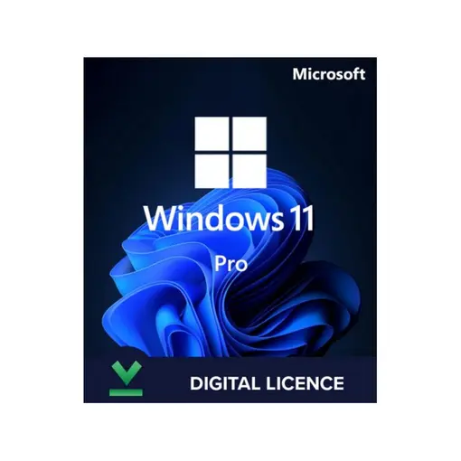 Windows 11 Pro, ESD