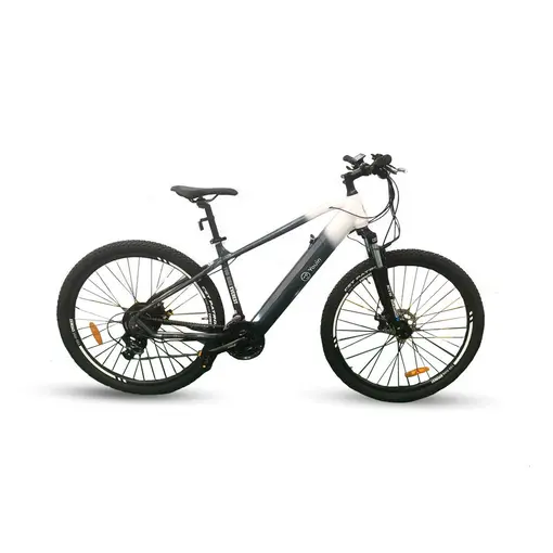E-bike MTB EVEREST 29“ R18“
