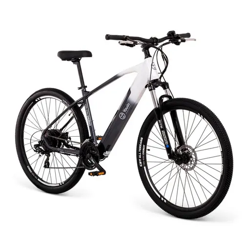 E-bike MTB EVEREST 29“ R19.5“