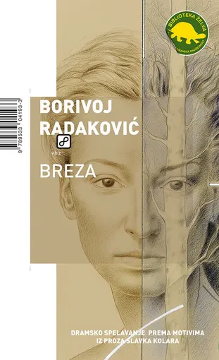 Breza, Radaković, Borivoj
