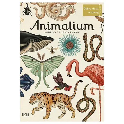 Animalium, Jenny Broom, Katie Scott