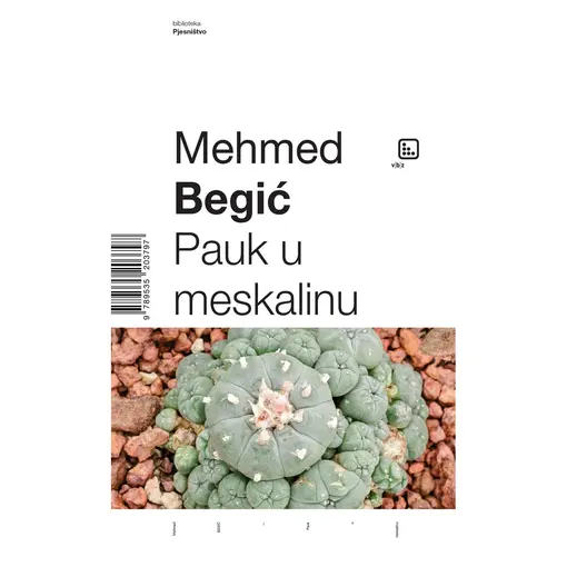 Pauk u meskalinu, Begić Mehmed
