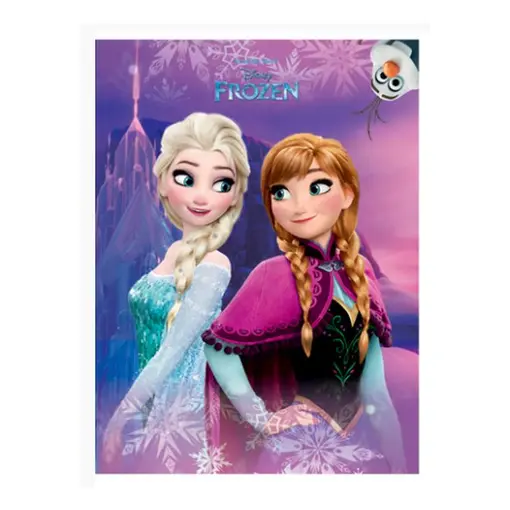 Bilježnica A4 kockice, Frozen, holo print 6