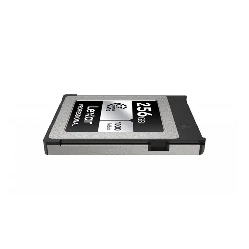 Professional CFexpress™ Type B card Silver Serie
