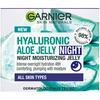 Skin Naturals Hyaluronic Aloe Jelly noćni hidrantni gel