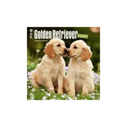  GOLDEN RETRIEVER PUPPIES (CALENDAR 2016), 