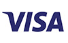 visa payment type
